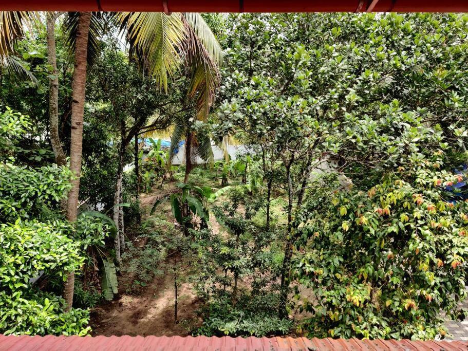 Anandam Stays - Premium 3Bhk Plush Homestay, Vaikom Near Kumarakom 외부 사진